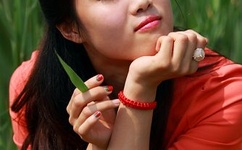 美国人物动物交互网站下载